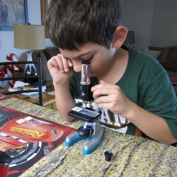 Meet your Posher, Julie - Picture 6 of 15